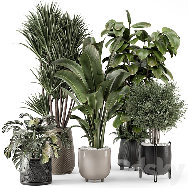 Indoor Plants in Ferm Living Bau Pot Large - Set 1343