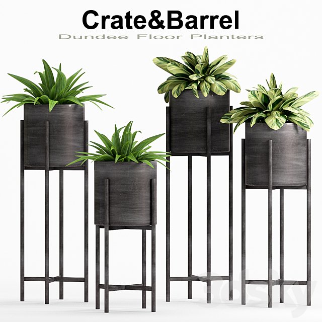 PLANT -21