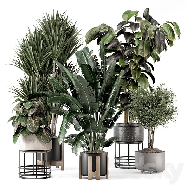 Indoor Plants in Ferm Living Bau Pot Large - Set 1351