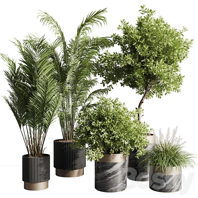 indoor plant set 57