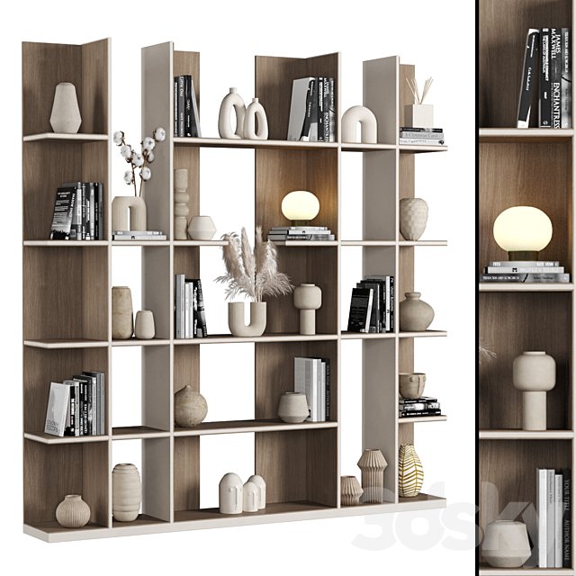 Cabinet with shelves 032
