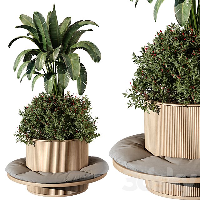 indoor Plant 249