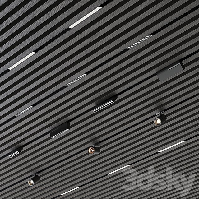 rack ceiling