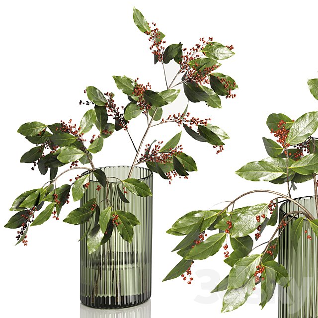 Decorative Plants 02