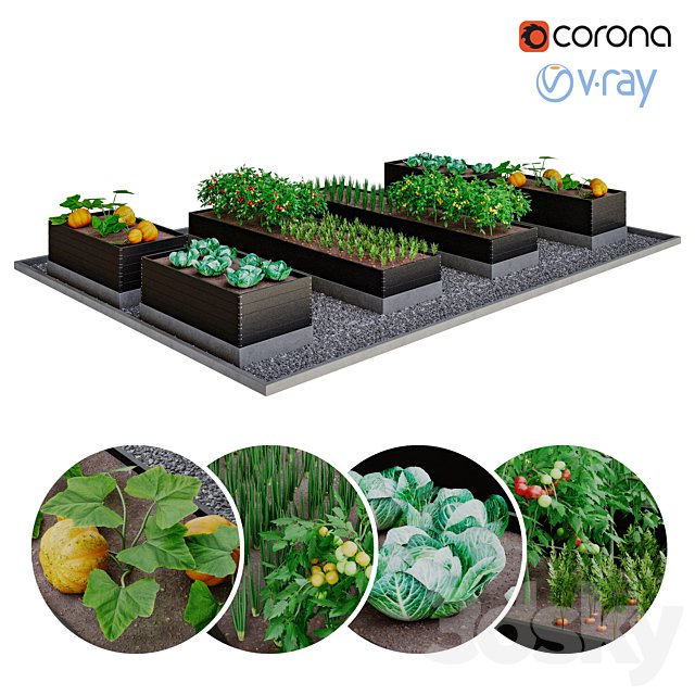 Kitchen garden | kitchen garden