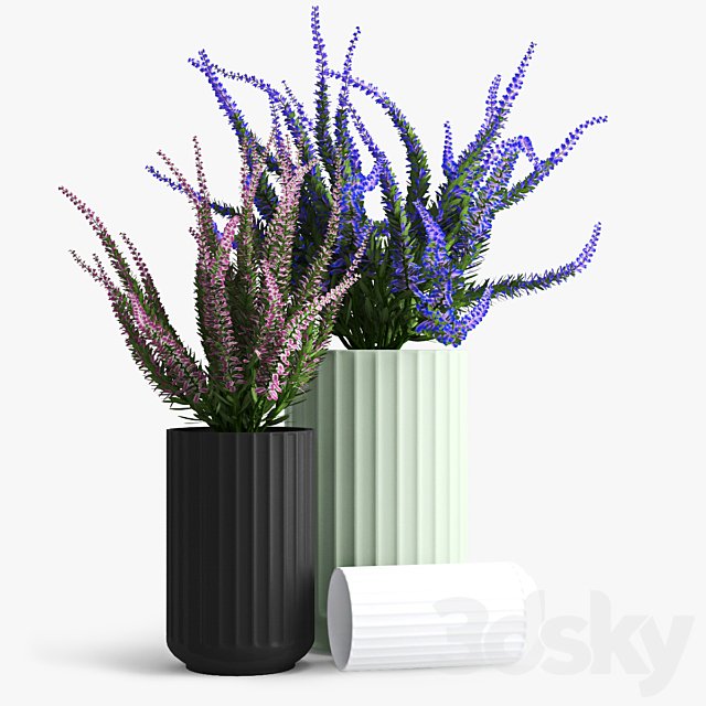 Lyngby porcelain