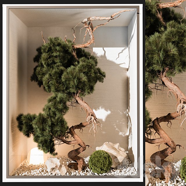 indoor Plant 252