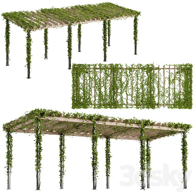 Pergola with Ivy v10