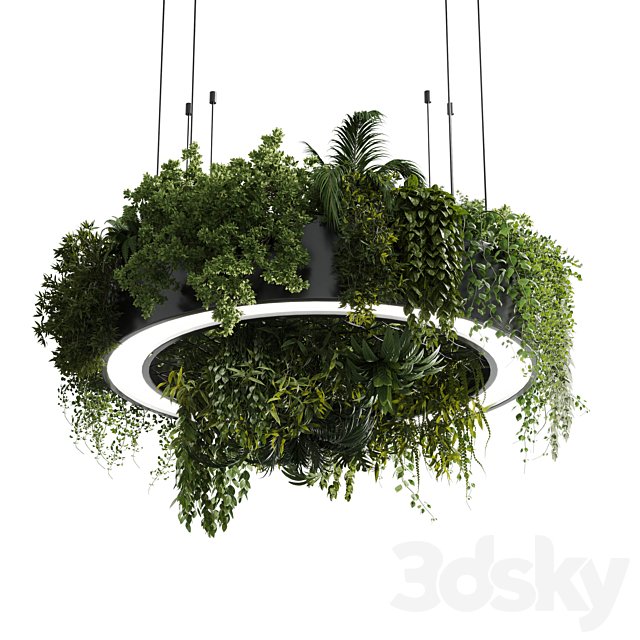 Circle pot light pendant - plant light hanging 13 corona