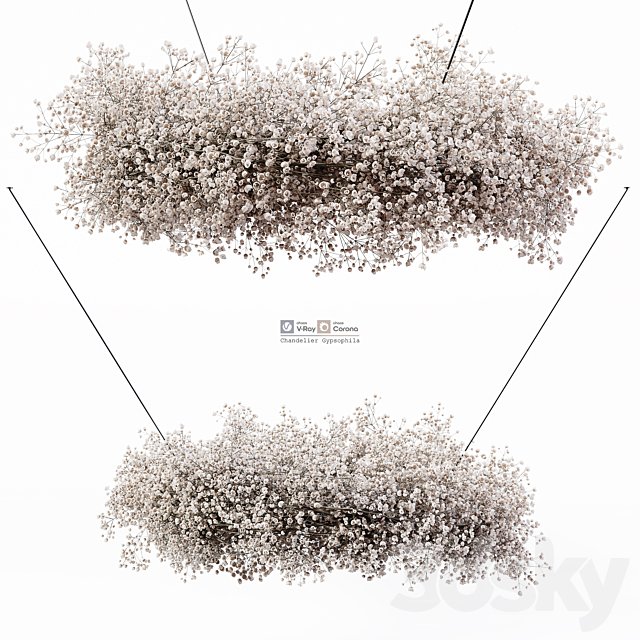Chandelier Gypsophila