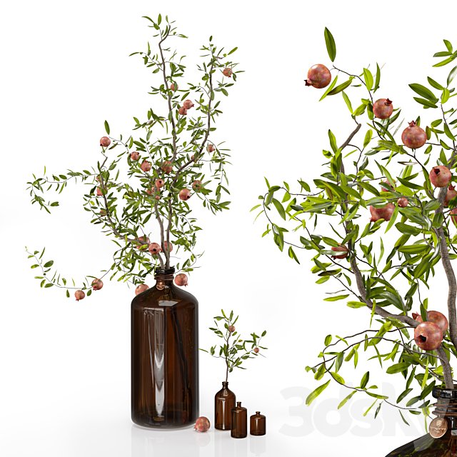 Pomegranate branches in pharmacy bottles