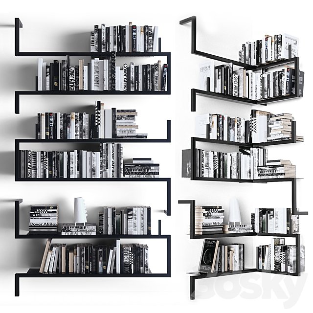 Books on the shelves