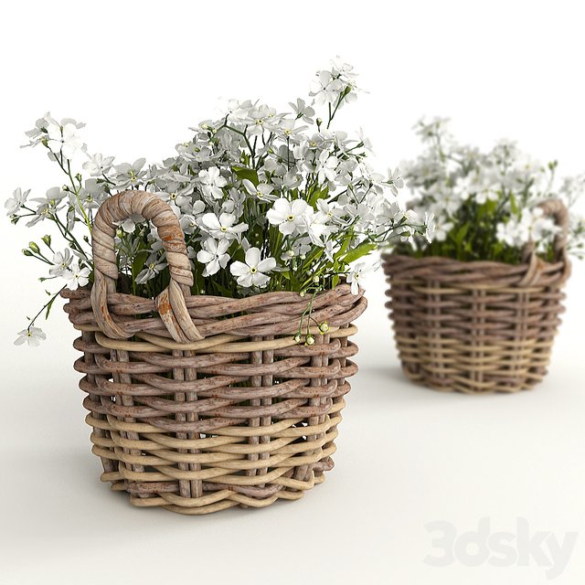 Flower baskets