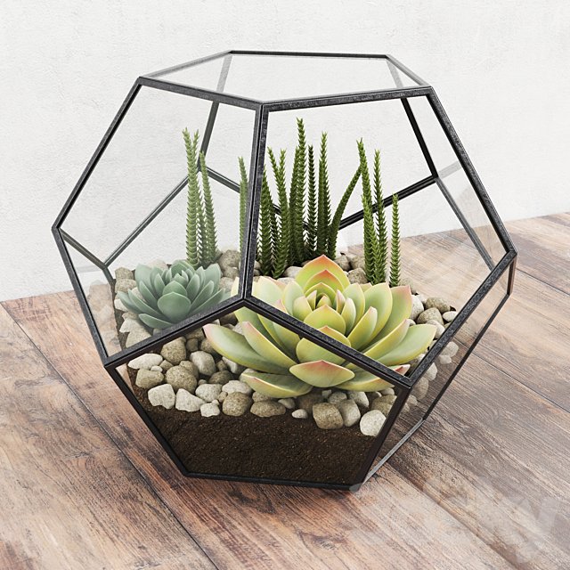 Florarium