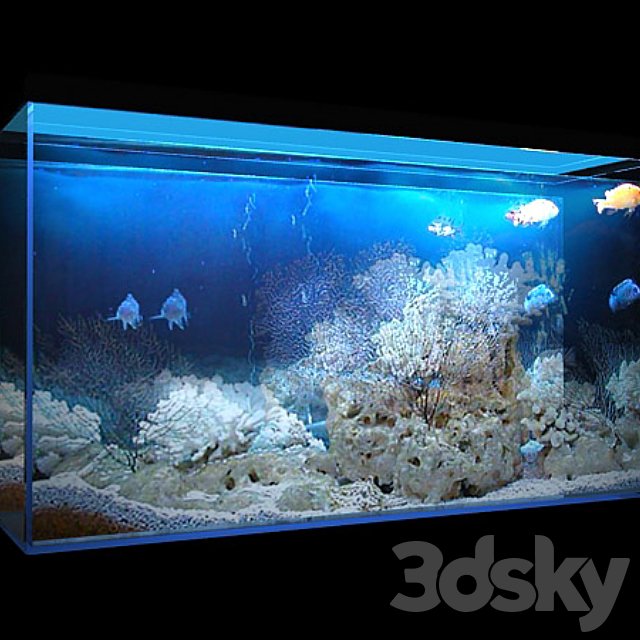 Aquarium