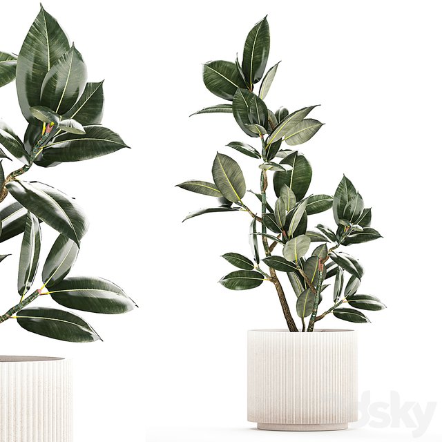 3D Model 5057405.64185e3276d70