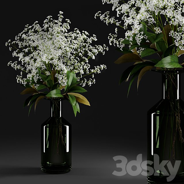 Gypsophila and magnolia leaves in bottle