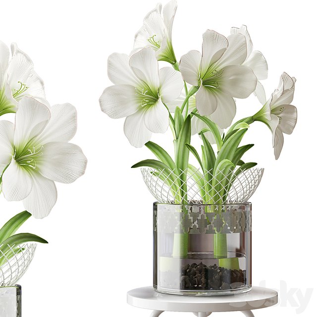3D Model 510486.56f7e59a37cb8