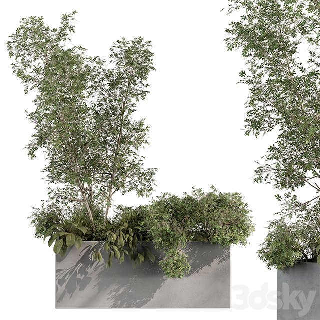 Plant Box - Outdoor Plants 517