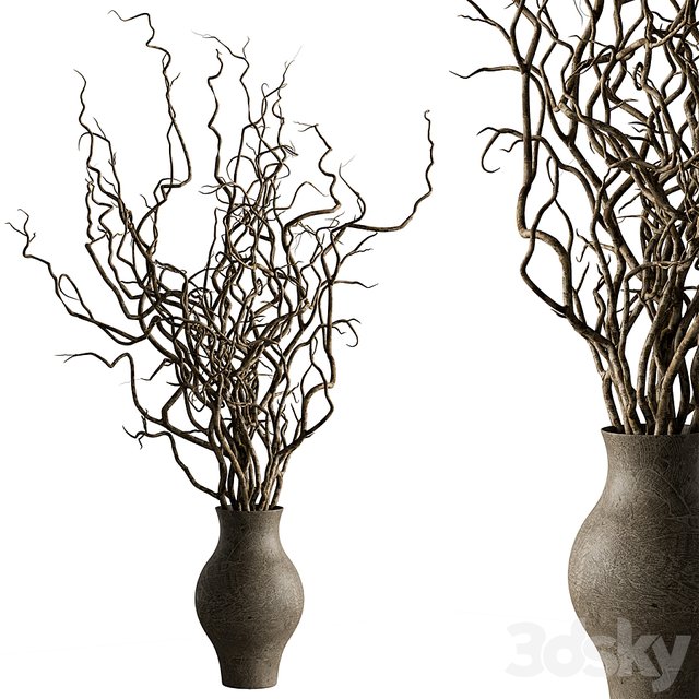 Dry plants 130 - Dried Branch