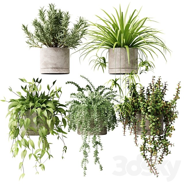 Potted plants on the shelf