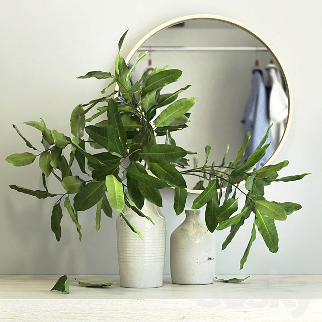 branches in a vase