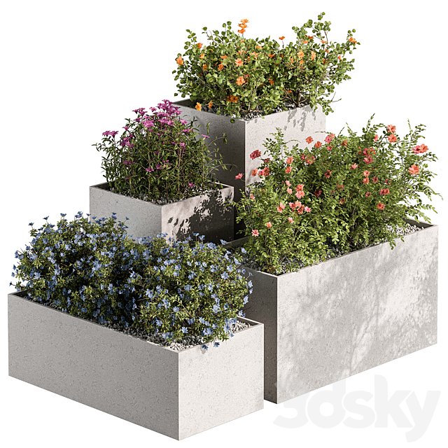 Plant Box - Outdoor Plants Flowers 534