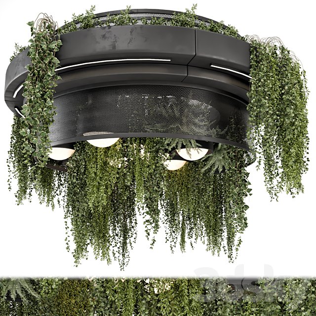 Indoor Hanging Plants in Metal Box - Set 1506