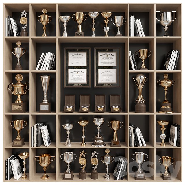 Rack with awards and books