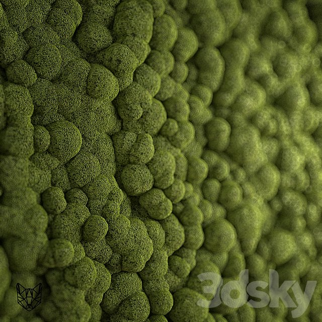 moss