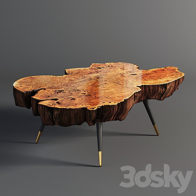 Wood slab coffee table