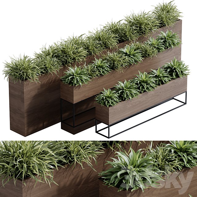 indoor plant set 65