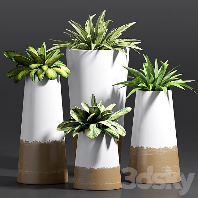 PLANT -28