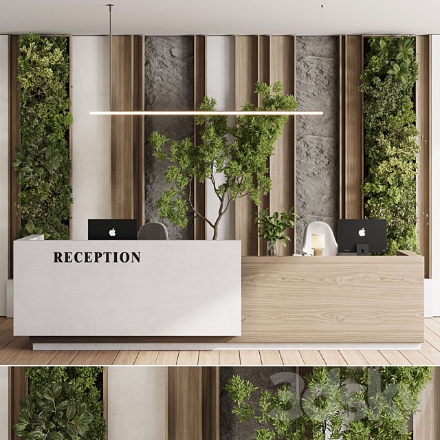 Reception Desk and Wall decor - office furniture 22 corona
