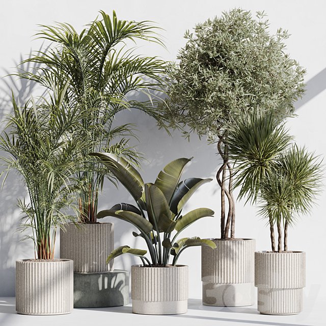 indoor plant set 69