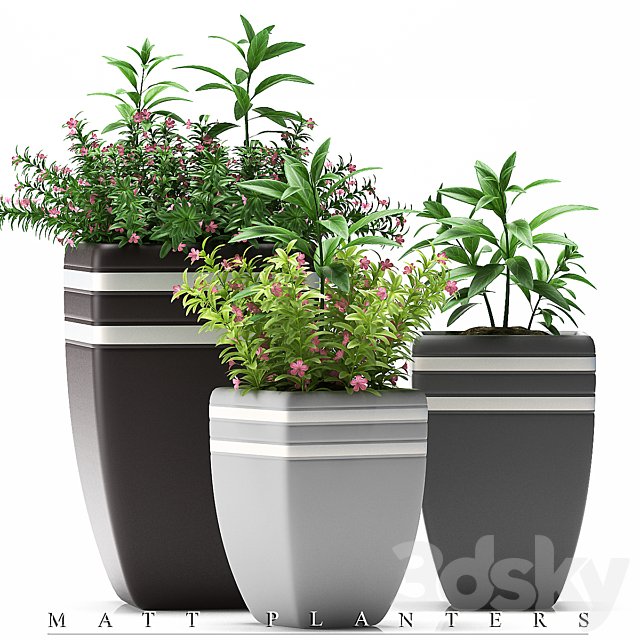 PLANTS 44
