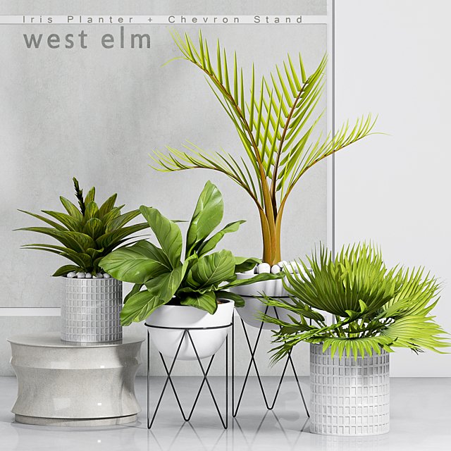 PLANT -30
