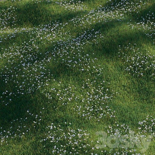 Grass with anemone flowers
