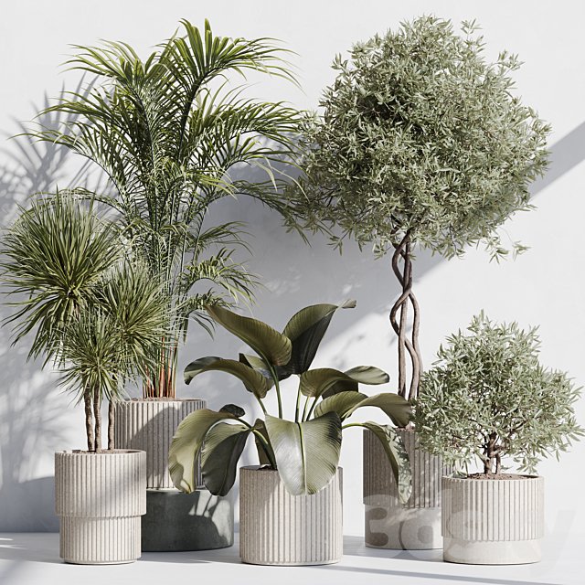 indoor plant set 71