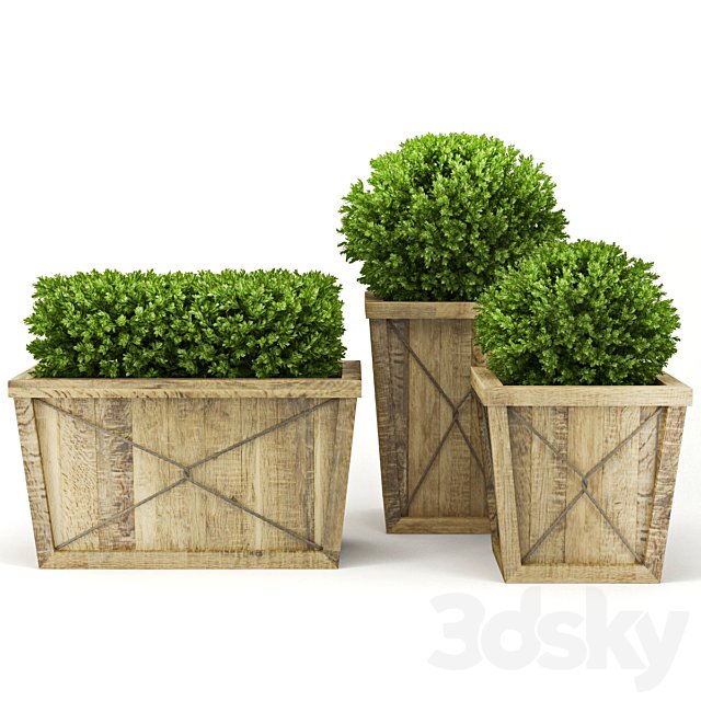 Collection of Plants V