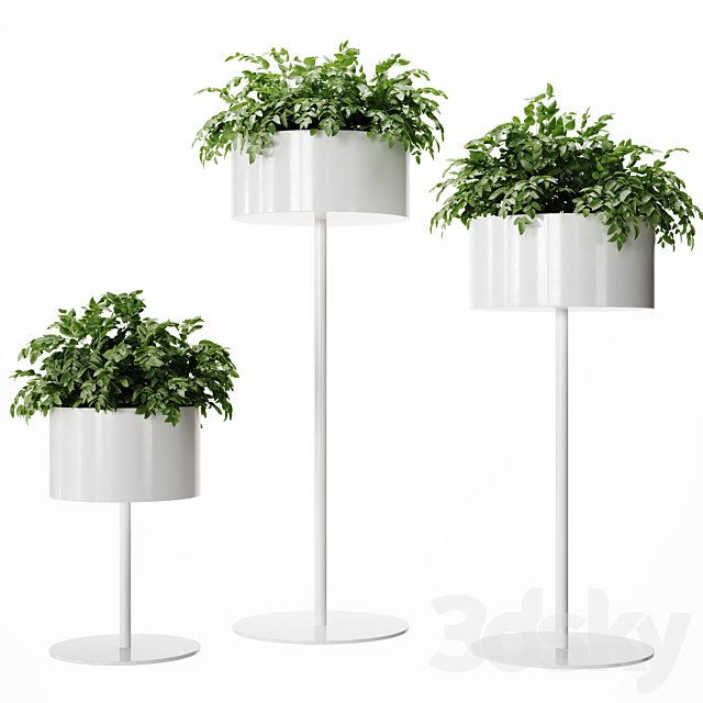 Plant Set 010