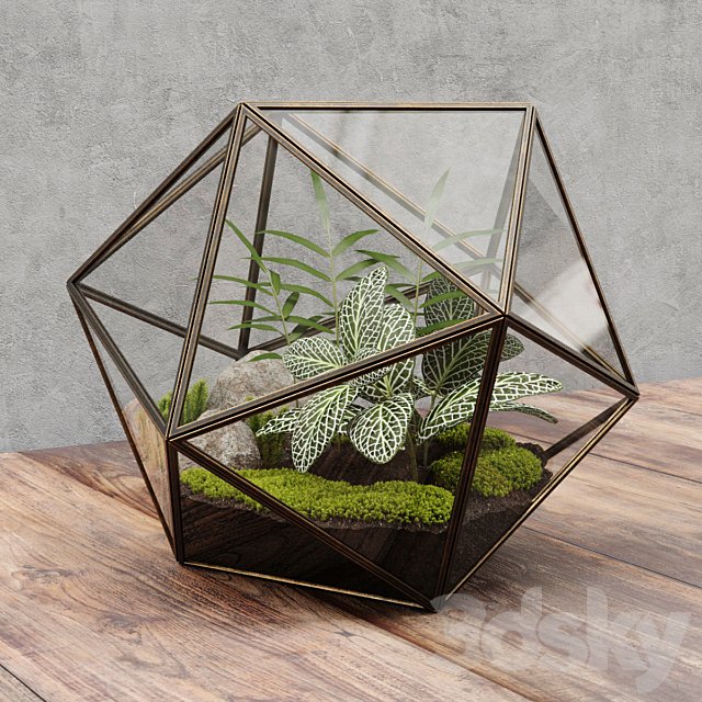 Florarium icosahedron