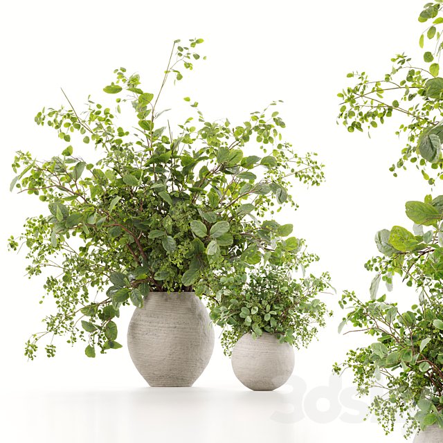 Plants Bouquets 07