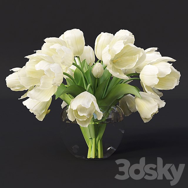 Tulips 7