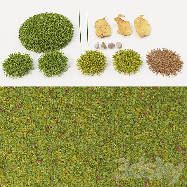 moss collection