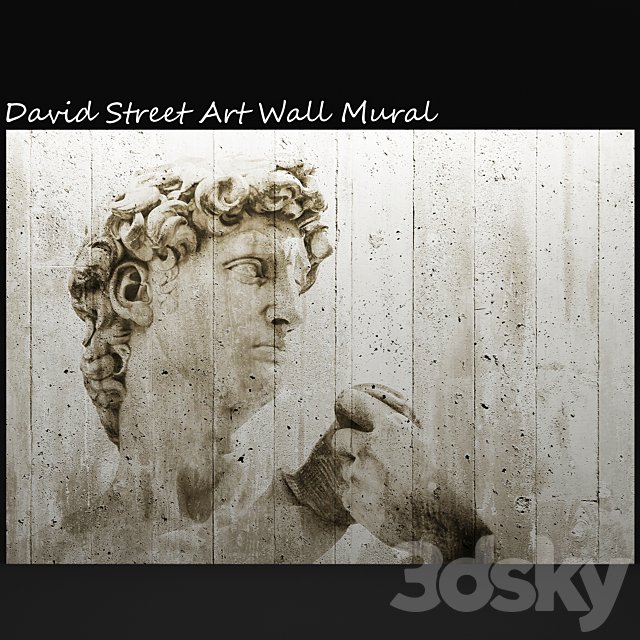 David Street Art Wall Mural, david, mural, painting, concrete, wall