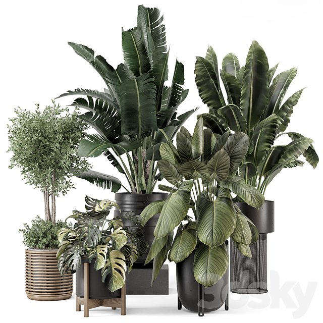 Indoor Plants in Ferm Living Bau Pot Large - Set 1665
