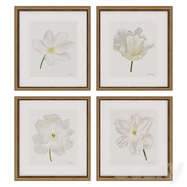 Charlotte Morgan White Watercolour Tulips