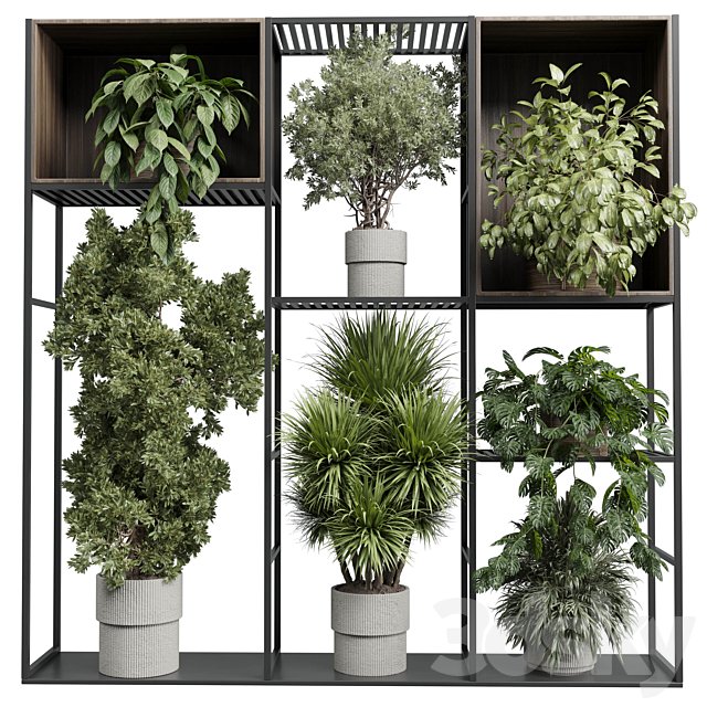 Standing metal shelf with a set of plants in wooden and metal boxes 419