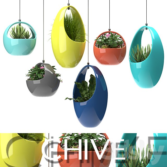 PLANTS 48